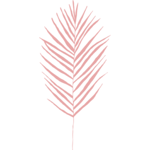 msapplication-TileImage
